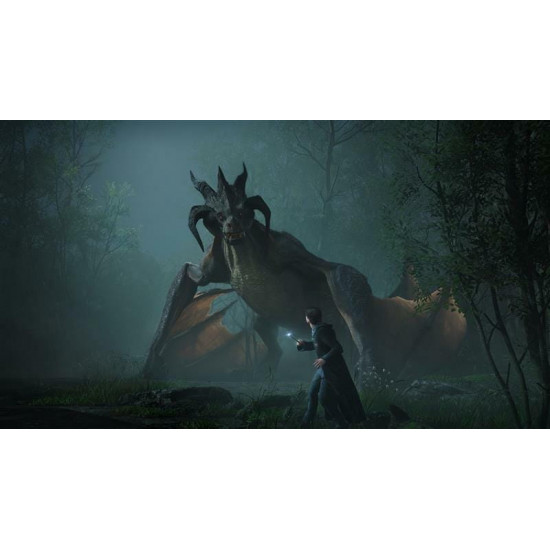Гра Hogwarts Legacy для PlayStation 5, Blu-Ray диск (5051895413425)