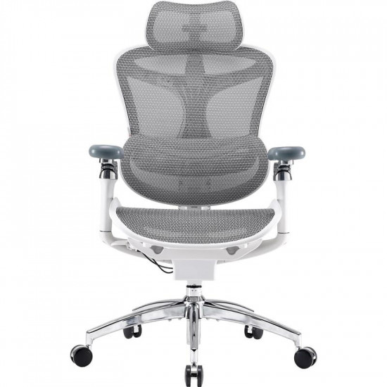 Крісло офісне Sihoo Doro C300 Pro Mesh White (DORO-C300-PRO-M102)