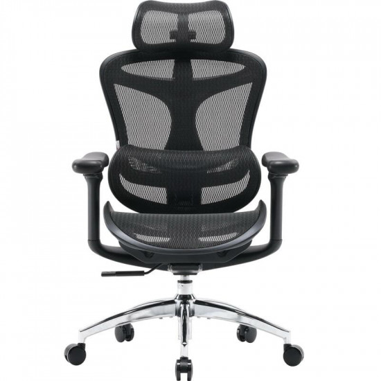 Крісло офісне Sihoo Doro C300L Mesh Black (DORO-C300L-A3-101)