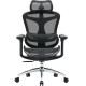 Крісло офісне Sihoo Doro C300L Mesh Black (DORO-C300L-A3-101)