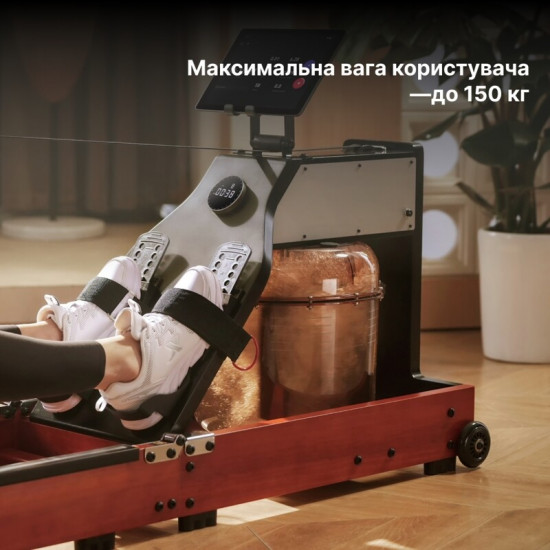 Гребний тренажер KingSmith WM10 Walnut Wood