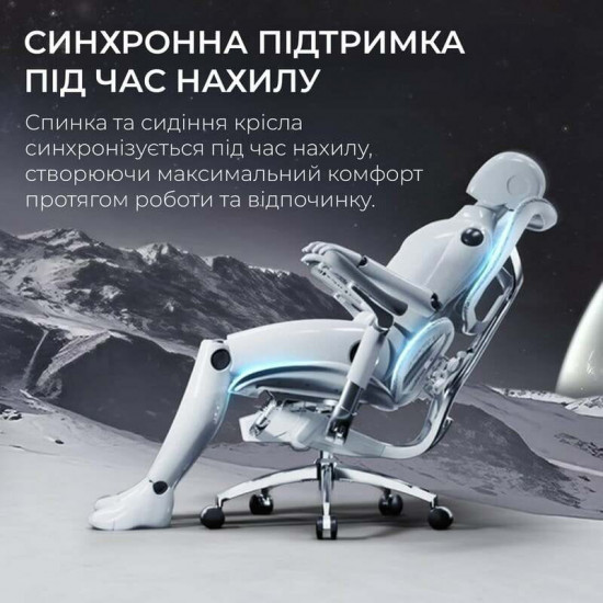 Крісло офісне Sihoo Doro S100 Mesh Black (S100-M301)